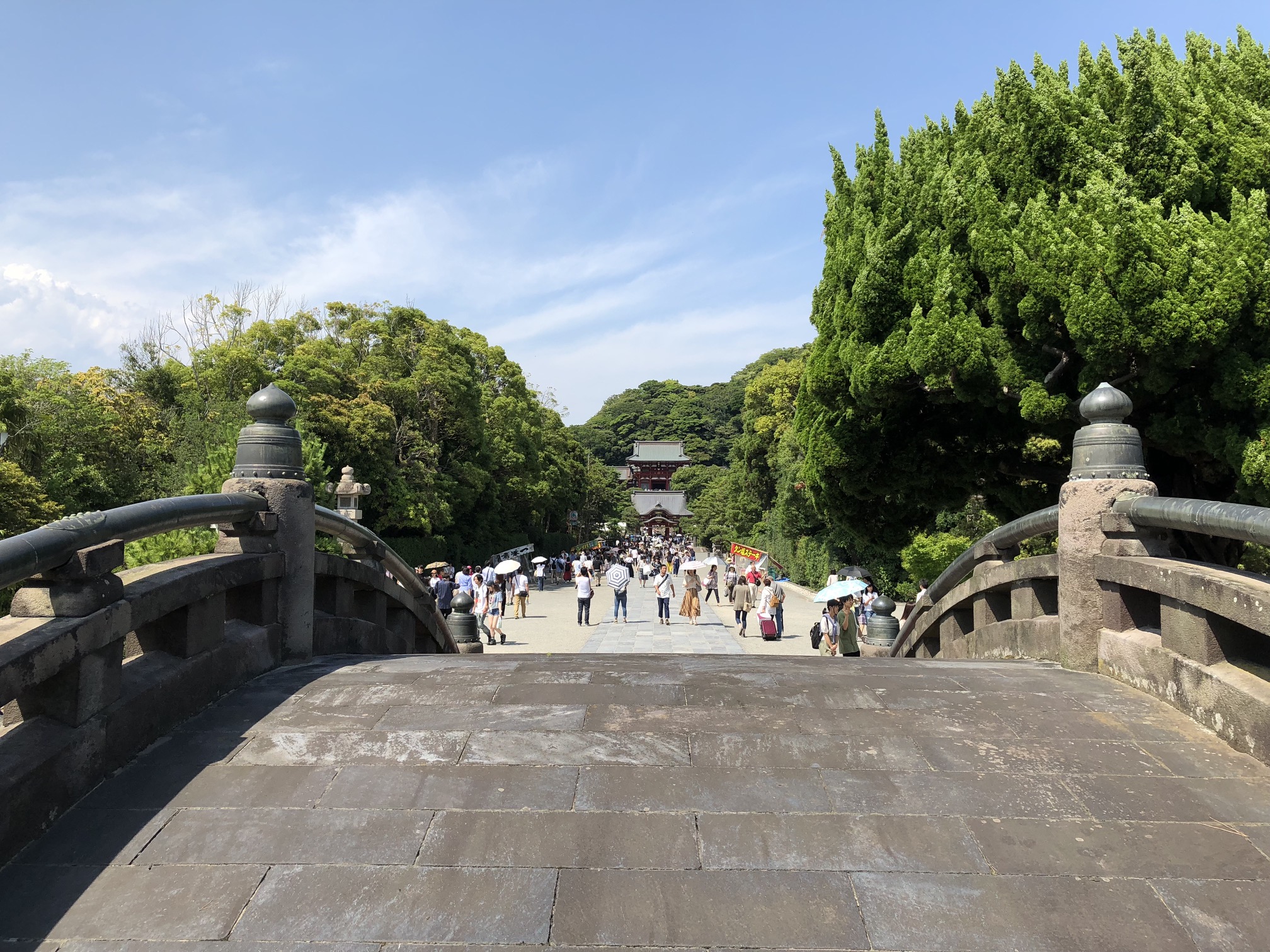 (Caption) A completely necessarily steep bridge with 鶴岡八幡宮 (Trusugaoka Hachiman-guu Shrine) in the background.