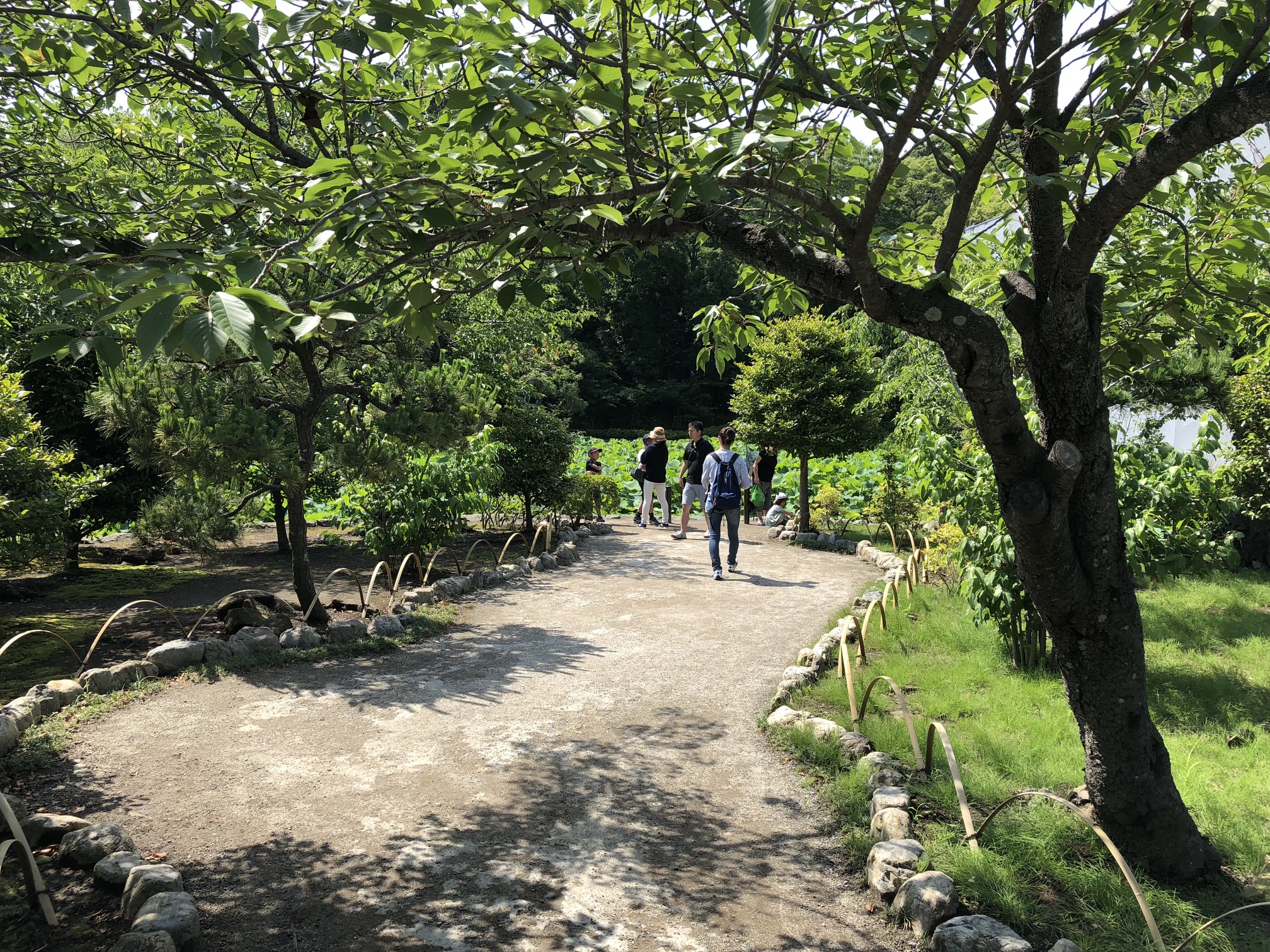 鎌倉 (Kamakura)