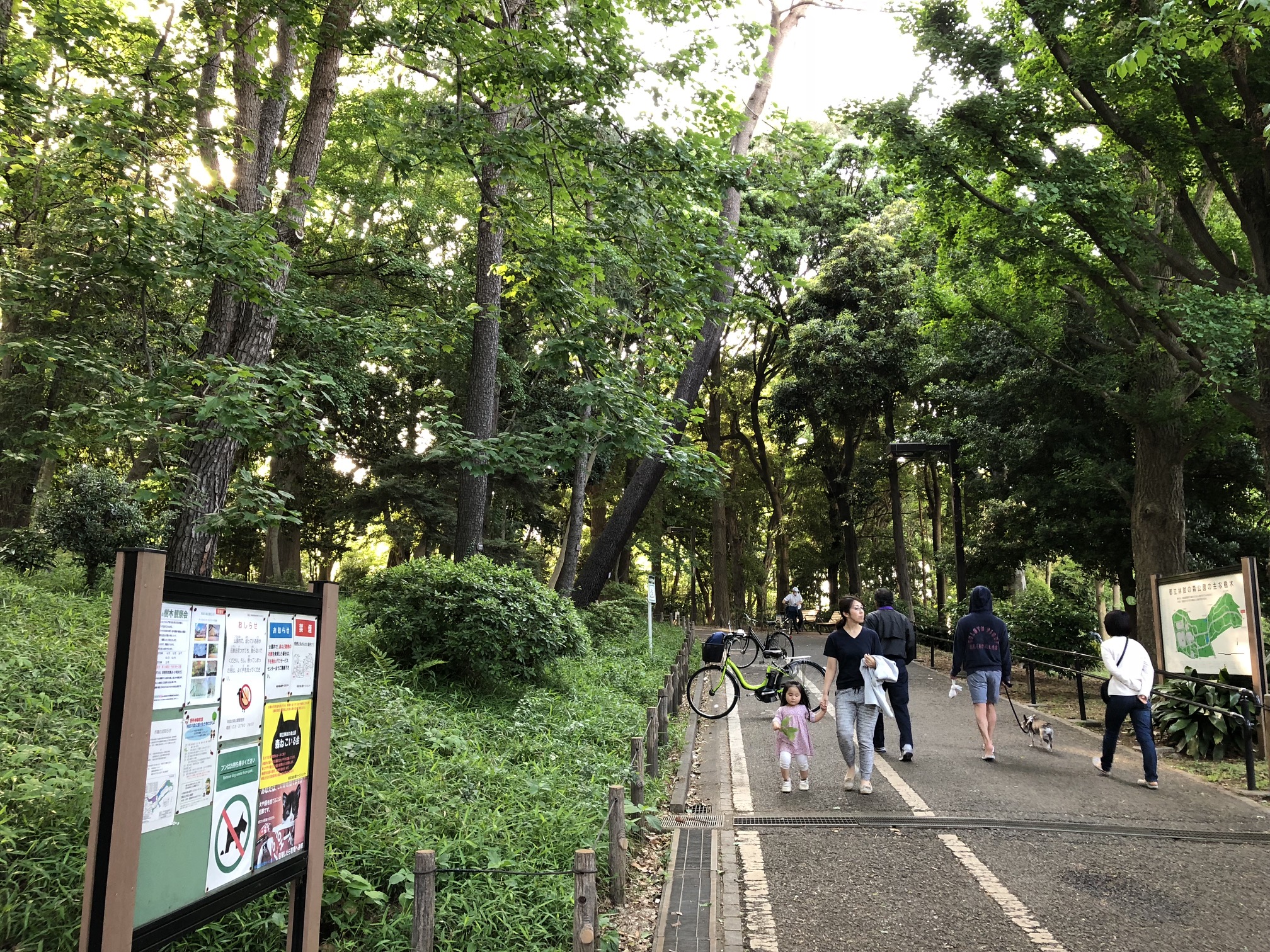 林試の森公園　(Rinshi no Mori Park)