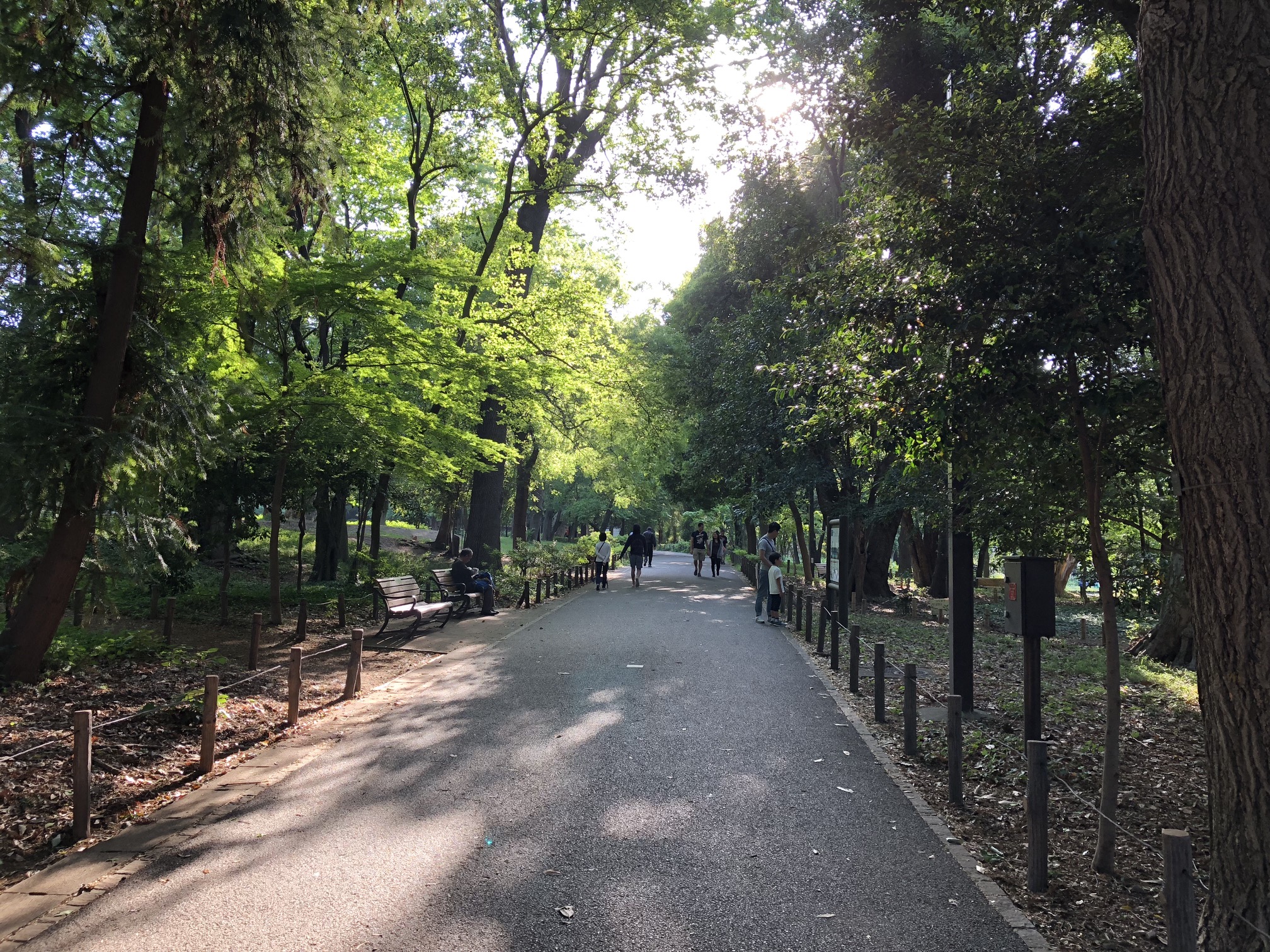 林試の森公園　(Rinshi no Mori Park)