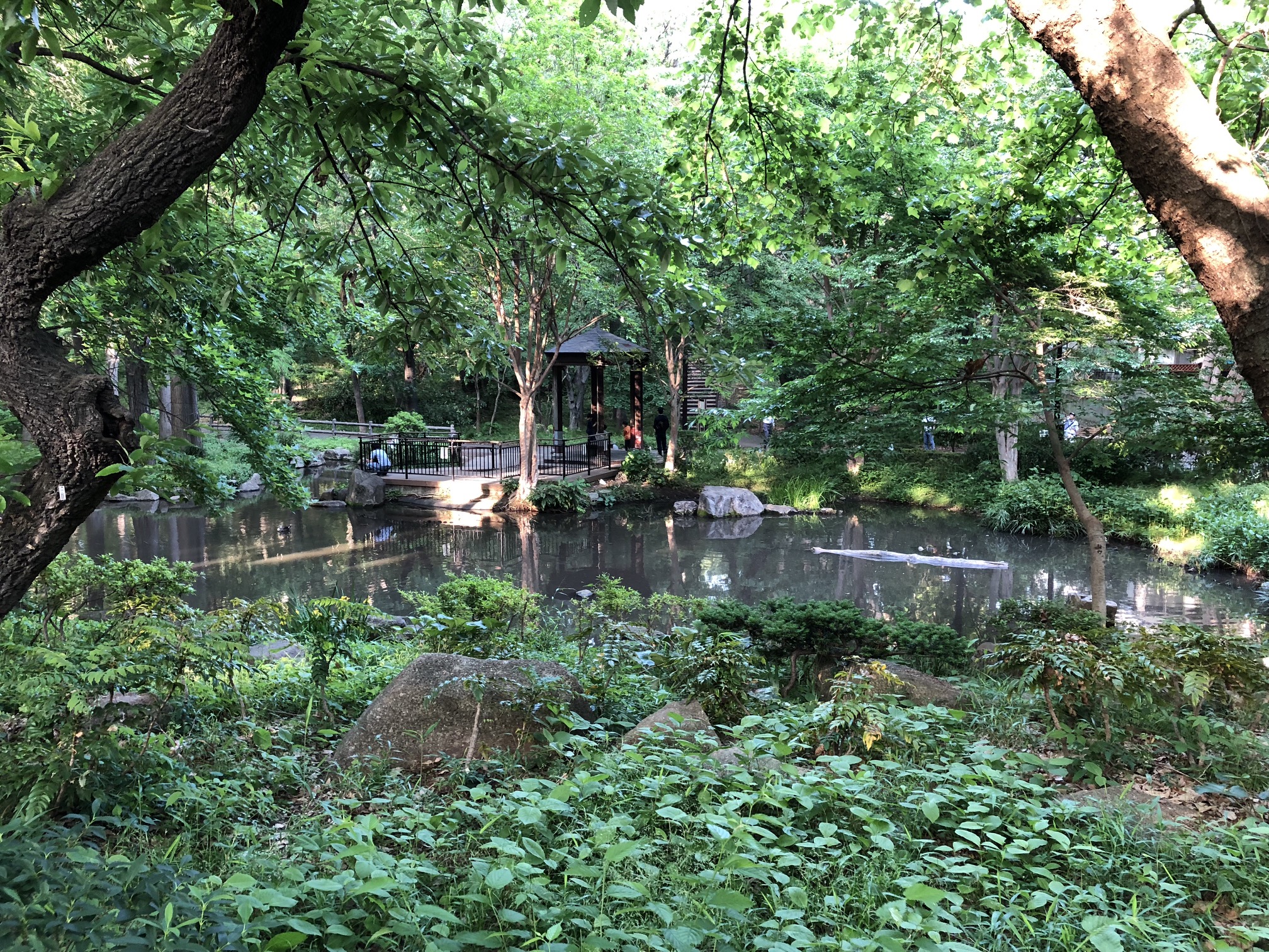 林試の森公園　(Rinshi no Mori Park)